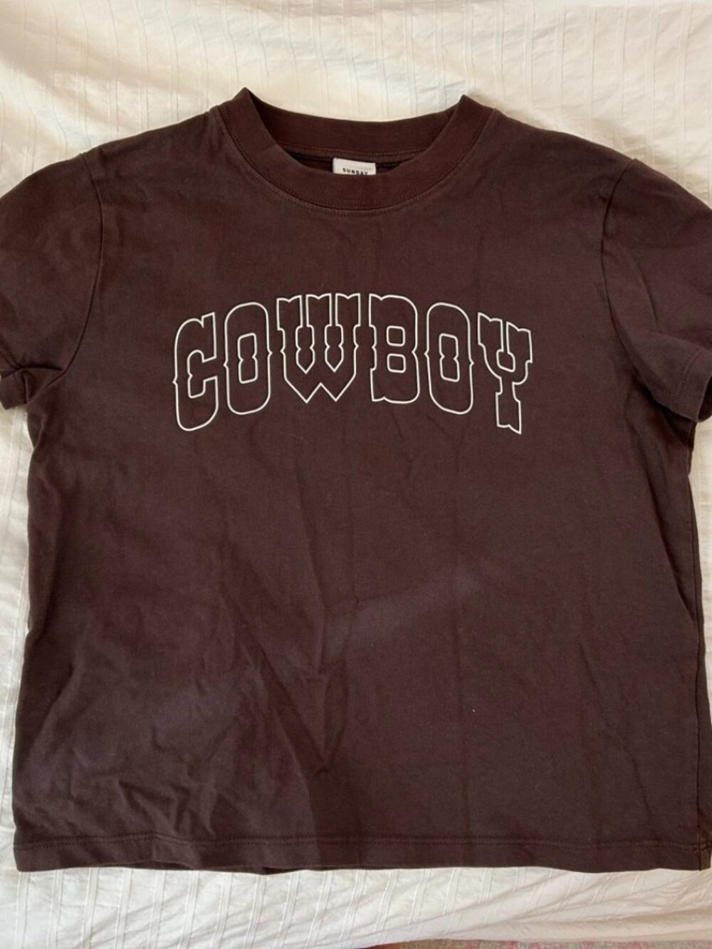 Aritzia Cowboy Baby Tee